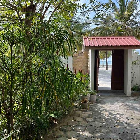 Cerulean View Residence Hanimaadhoo Island Exteriör bild