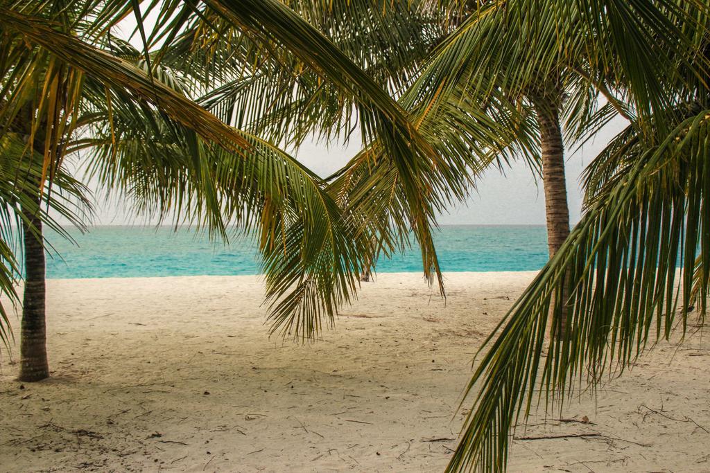 Cerulean View Residence Hanimaadhoo Island Exteriör bild