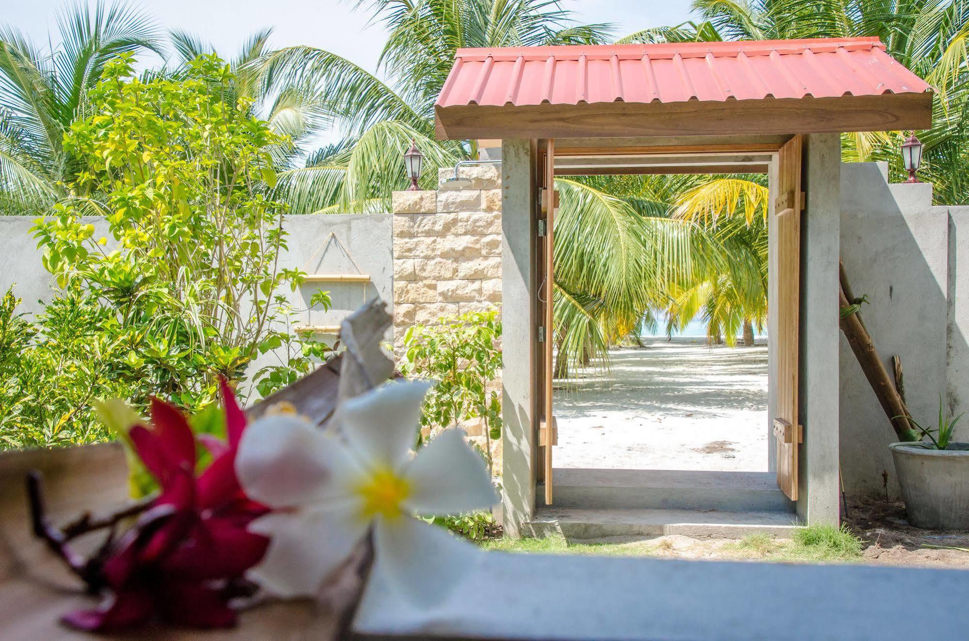 Cerulean View Residence Hanimaadhoo Island Exteriör bild